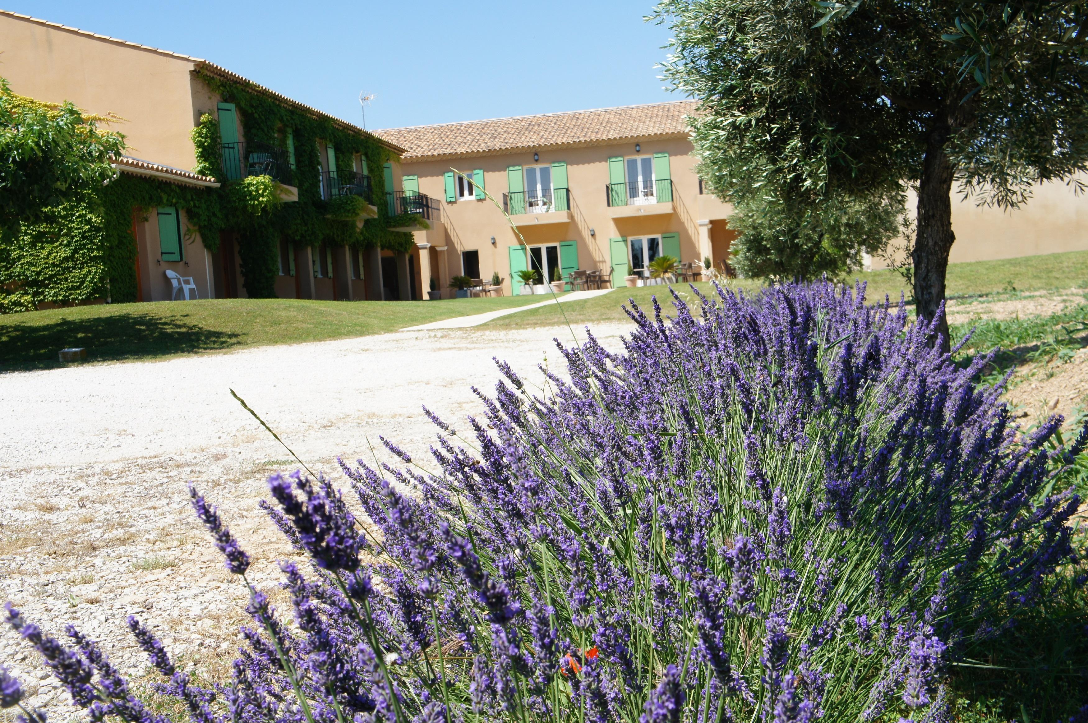 Hotel Terriciae Aux Portes De Maussane Les Alpilles Ngoại thất bức ảnh